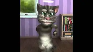 Sir scratch a lot