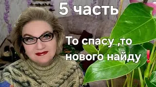 То спасу ,то нового найду🤯❗️