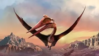 Quetzalcoatlus : The Pterosaur that Ruled the Ancient Skies | Quetzalcoatlus | Flying reptile