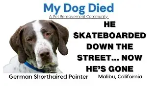 He Was My Boy