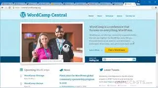 WordPress vs. ProcessWire - Community
