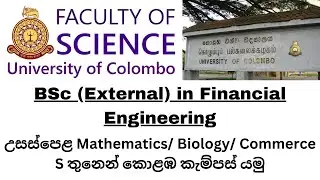 Colombo Campus BSc (External) in Financial Engineering උපාධිය ගැන සිංහලෙන් | Review by Dev School