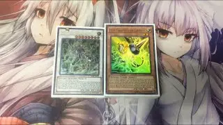 PSY-Frame Deck Profile January 2018