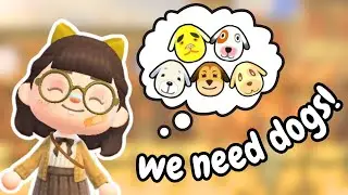 ❤️ New Island DREAMY HUNT! *member chats*