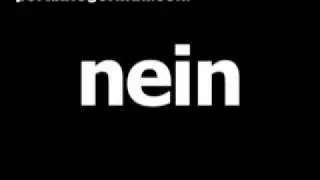 German word for no is nein