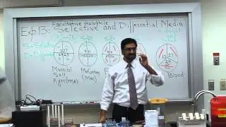 Selective Differential media DVD