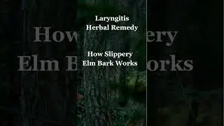 Soothe Laryngitis: Slippery Elm Remedy | 8-Second Insight