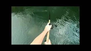 My new PB Musky