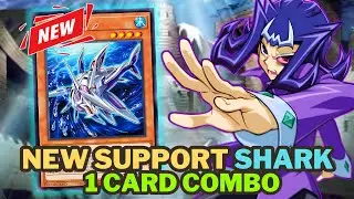 New SHARK CARD 🦈 6 COMBOS YOU NEED KNOW 💦💦