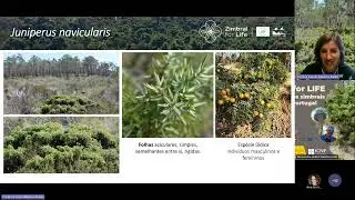 Webinar 