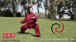 Taiji quan stile chen