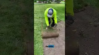 The Secret to Laying Perfect Sod!