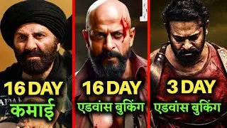 gadar 2 box office collection day16, gadar 2, gadar 2 advance booking,sunny deol, gadar 2 collection