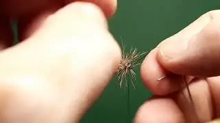 One Fly A Day - Wonder Wing Sedge