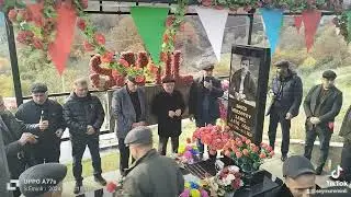 11 Kasım 2024