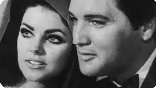DEFENDING ELVIS PRESLEY - FANS SEARCH FOR THE TRUTH - DOG WALK