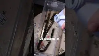 How to clean aquarium filter pipes