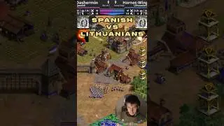 Power of the Lithuanians | #ageofempires2 #aoe2 #snoweyviking