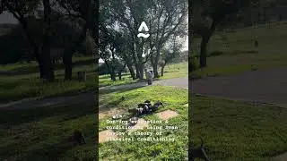 Texas Blue Lacy Puppies Gun-dog Evaluation & Conditioning