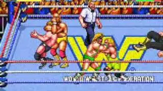 WWF Wrestlefest 22 - 24