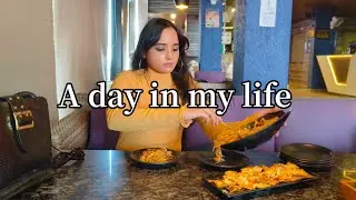 Homemade dog food recipes 🐾 | A day in my life | Going out for lunch & unboxing | Life in india 🇮🇳