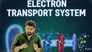Electron Transport chain | H+ proton pump | Fermentation | Respiration in plants | 🔥🔥