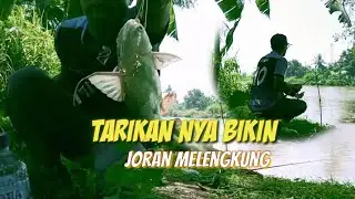 Mancing Ikan Duri Di Sungai Citarum Muara Gembong