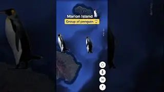 😱 I found Penguin 🐧 group on Google map 🌍 #googleearth #googlemaps #streetview #googlestreetview