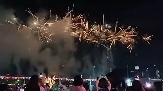 Bishan-Toa Payoh-Marymount SG60 Concert | The Finale, Fireworks 🎆