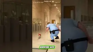 New details of the Louvre Robbery. An unusual version from FrolOFF Cat  #funny_cats #funny #cat