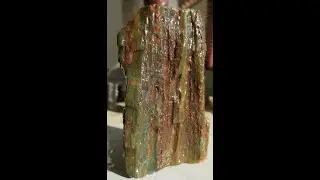 Hampton Butte Petrified Green Wood!!!