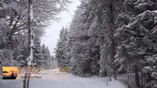 Heavy Snowfall | Winter Storm | Morning Meditation | Winter Ambience | Relaxing Music | Study Music
