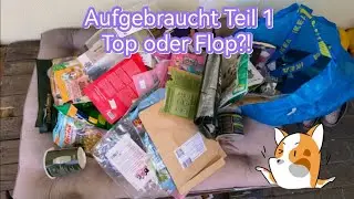 Aufgebraucht Teil 1 // Top oder Flop?! // Juli 2022