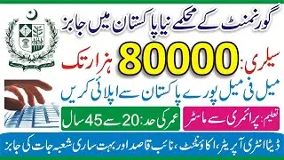 Naya Pakistan Jobs - Naya Pakistan Housing and Development Authority Jobs 2022 - NAPHDA Jobs 2022