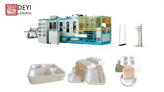 thermoforming machine: PSP foam food box packaging machine 2019 （competitive price）
