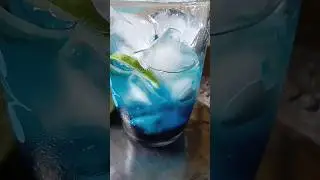 Blueberry Drink              #short #youtubeshorts