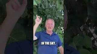 When Life Hits Like a Tornado