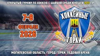 7.02.2026. ХГ. 2017. ПС. Могилев - Славутич-2