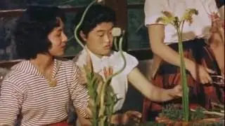 Popular Videos - Hiroshi Teshigahara & Drama