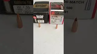Some new 22 caliber bullets!  Ammo pickup!