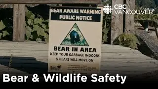 'Keep it bare when you're not there' | Learn about campsite safety | CBC Creator Network