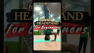 How to start Shirshasana (Headstand)? #headstand #shorts