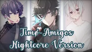 TIMØ/Amigos//Nightcore Version//Switching Vocals//Calmcore//