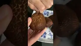 Snake skin fruit! #4k #malaysia #kualalumpur #enjoying #amazing #lovely #shortsvideo