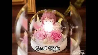 Cute Good Night gif What&rsquo;s Up Status Video | Good Night Images | #goodnightstatus 👍
