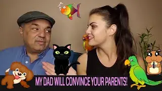 How To Convince Your Parents To Let You Get a Bird or Pet, My Dad Speaks! (Show Them This!!) | PTT