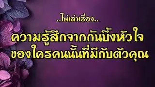 ไพ่เล่าเรื่อง📕ความรู้สึกจาก