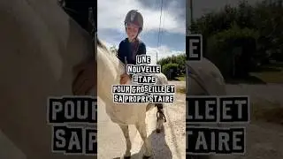 Le montoir, une invitation pleine de confiance 🐴🤍 #cheval