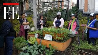 Huertas urbanas en Bogot&aacute;: &iquest;c&oacute;mo puede sumarse al programa del Jard&iacute;n Bot&aacute;nico? | El Espectador