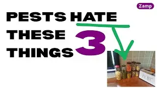 Pests HATE the 3 things
